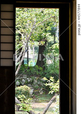 初夏の飫肥城下　旧藩校　振徳堂 44577844