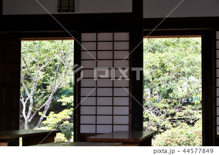 初夏の飫肥城下 旧藩校 振徳堂 初夏の飫肥城下 旧藩校 振徳堂 44577849