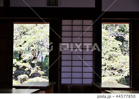 初夏の飫肥城下 旧藩校 振徳堂 初夏の飫肥城下 旧藩校 振徳堂 44577850