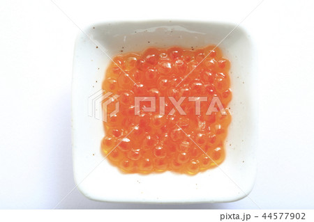 イクラ イクラ 44577902