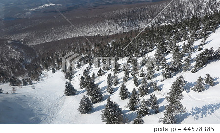 東北の冬　八甲田山 44578385