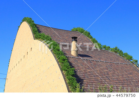 モザイクタイルミュージアム 44579750