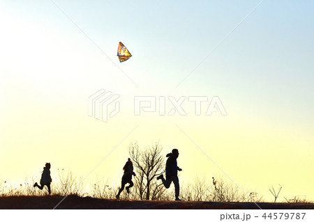 凧揚げをするファミリーと初日の出 44579787