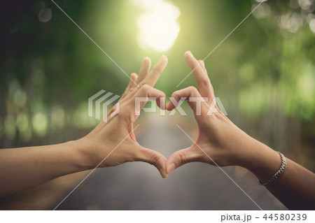 heart shape hands 44580239
