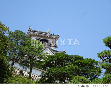 高知城 44580378