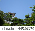 高知城 44580379