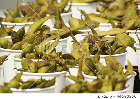 丹波 枝豆 屋台 44580856