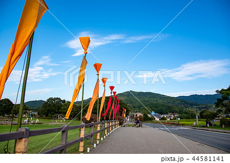 奈良　明日香村　飛鳥光の回廊　川原寺前ののぼり旗　自転車で散策する人 44581141