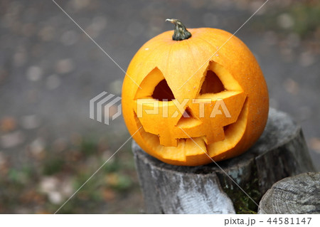 ジャック・オー・ランタン 44581147