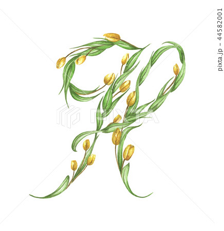 Letter H Made of Flowers. 44582001