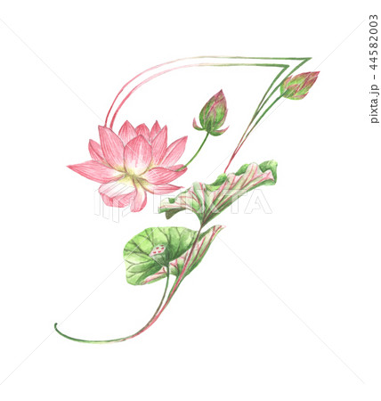Letter F Made of Flowers. 44582003