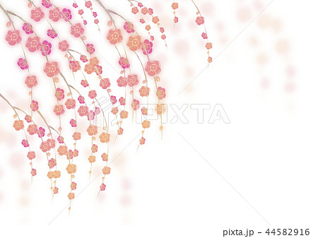梅の花 背景 フレーム 枝垂れ梅 水彩 イラストのイラスト素材