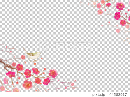 Plum blossom background frame Uguisu watercolor illustration 44582917