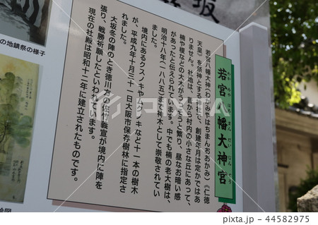 若宮八幡大神宮  44582975