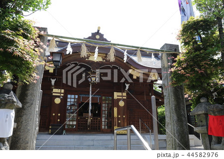 大阪府大阪市城東区蒲生四丁目にある若宮八幡大神宮 44582976