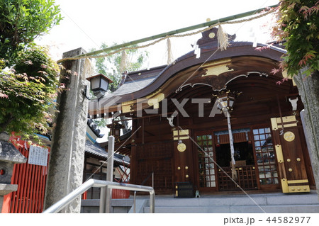 大阪府大阪市城東区蒲生四丁目にある若宮八幡大神宮 44582977
