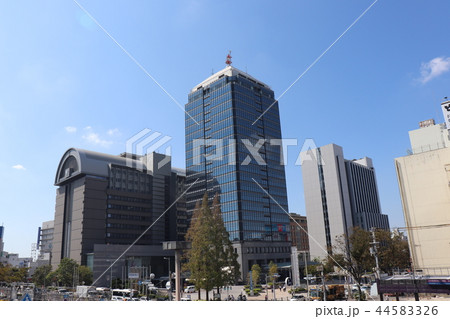 堺市役所 44583326