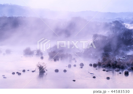 冬 韓国 春川市 44583530