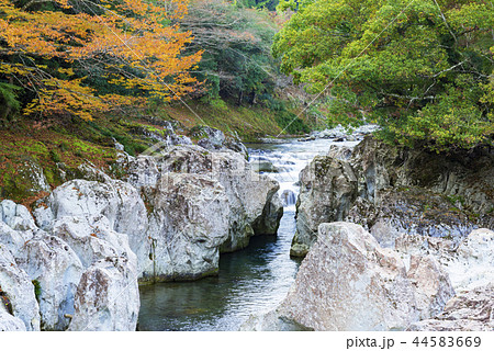 猿飛千壺峡 猿飛千壺峡 44583669