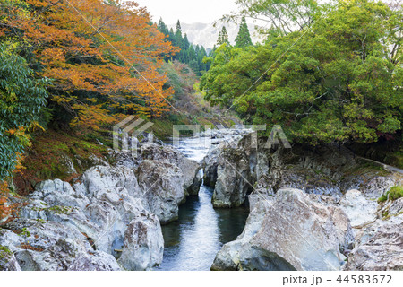 猿飛千壺峡 猿飛千壺峡 44583672