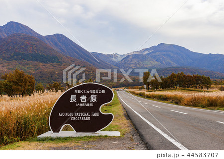 長者原 長者原 44583707