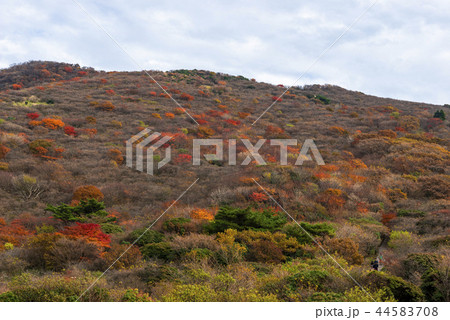 秋の牧ノ戸峠 秋の牧ノ戸峠 44583708