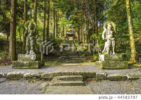 両子寺 両子寺 44583797