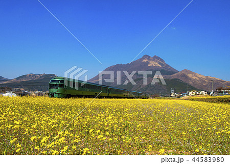 特急ゆふいんの森 44583980