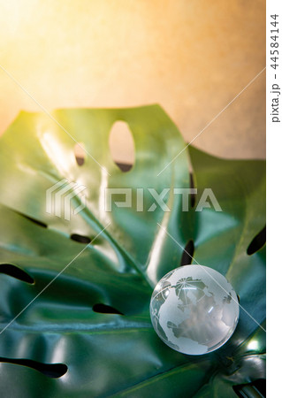 World globe cystal glass on green leaf 44584144