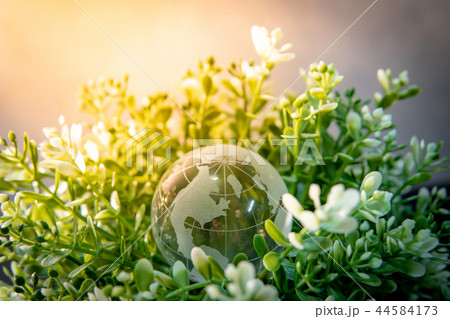 World globe cystal glass on green leaves bush World globe cystal glass on green leaves bush 44584173