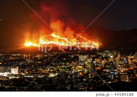 扇山火まつり 44584188
