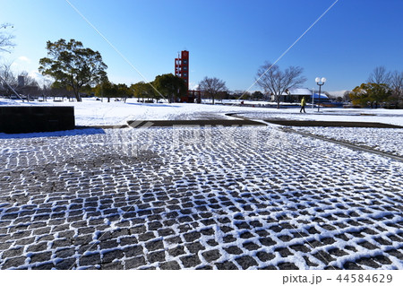 初雪の公園 初雪の公園 44584629
