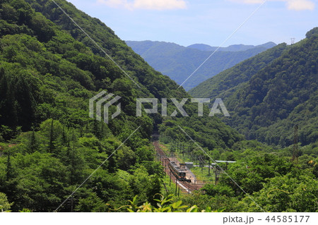 群馬県みなかみ町土合駅に停車中の上越線をR291から見る 44585177