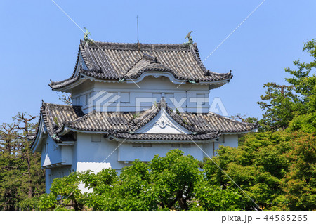 新緑に包まれた名古屋城　東南隅櫓 44585265