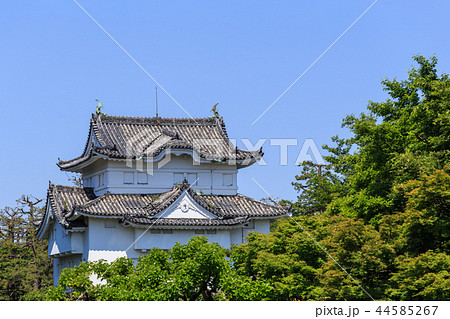 新緑に包まれた名古屋城　東南隅櫓 44585267