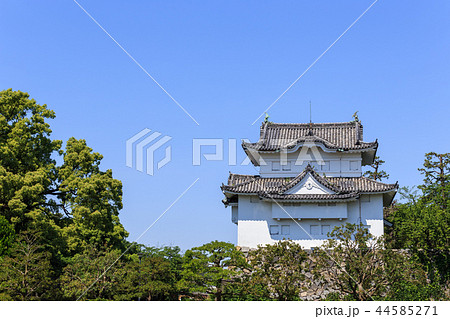 新緑に包まれた名古屋城　東南隅櫓 44585271