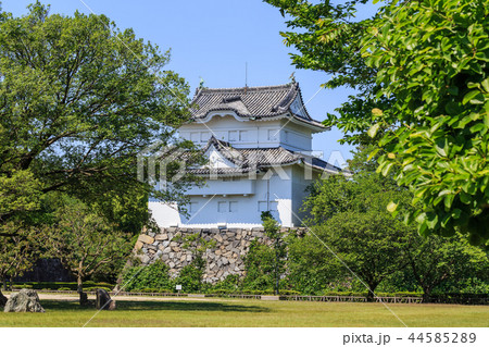 新緑に包まれた名古屋城　東南隅櫓 44585289