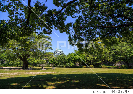 新緑に包まれた名古屋城 44585293