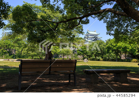 新緑に包まれた名古屋城 44585294