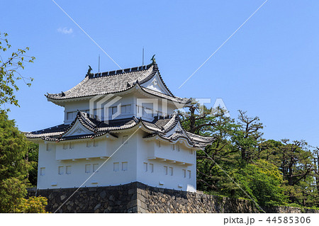 新緑に包まれた名古屋城　西南隅櫓 44585306