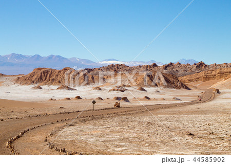 Dirt road perspective view,Chile 44585902