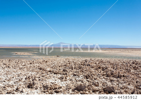 Flamingo natural reserve, Chile Flamingo natural reserve, Chile 44585912