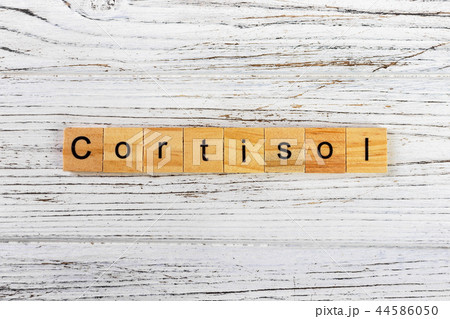 CORTISOL word made with wooden blocks concept 44586050