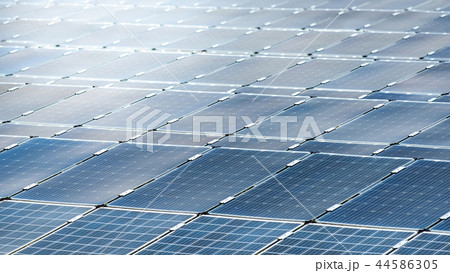 Solar panels in solar power plant 44586305