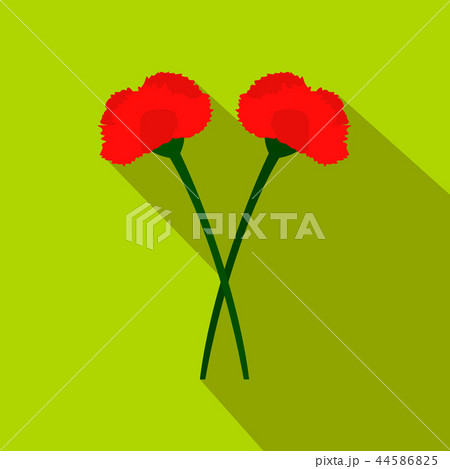 Two carnation flowers flat icon Two carnation flowers flat icon 44586825