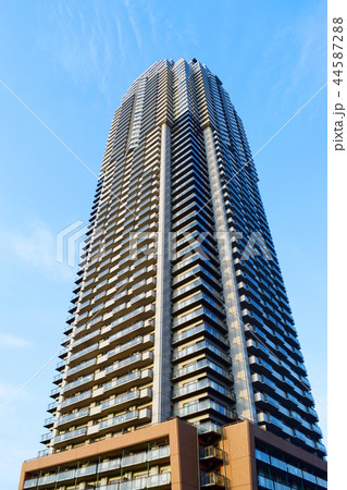 エルザタワー55（埼玉県川口市） 44587288