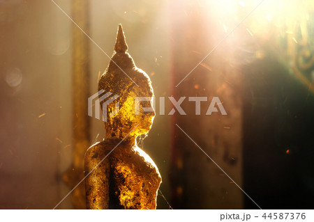 Close up the buddha 44587376