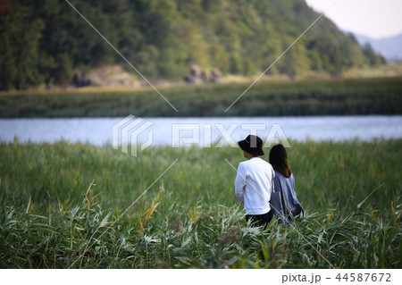 秋 順天湾 順天湾湿地 44587672