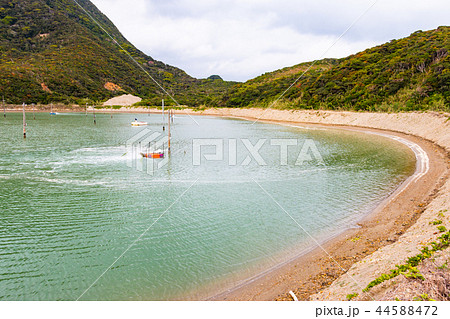 鹿児島県奄美大島 車海老養殖場 44588472
