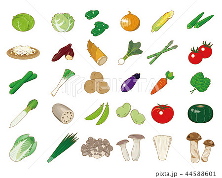 食材イラスト 野菜アイコン集 のイラスト素材